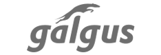 Galgus